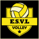 Logo Etoile Sportive de Villeneuve 5