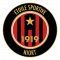 Logo Etoile Sportive de Niort 2