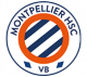 Logo Montpellier HSC VB