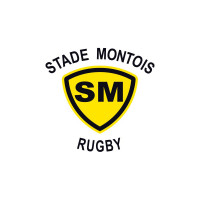 Stade Montois