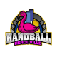 Logo Handball Herouville