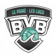 Logo Basket Vie et Boulogne Poiré-sur-Vie - Les Lucs